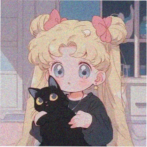 观众头像 夜航的猫